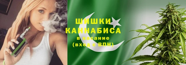 стафф Сясьстрой