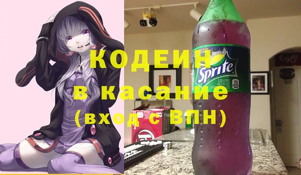 соль ск Верхний Тагил