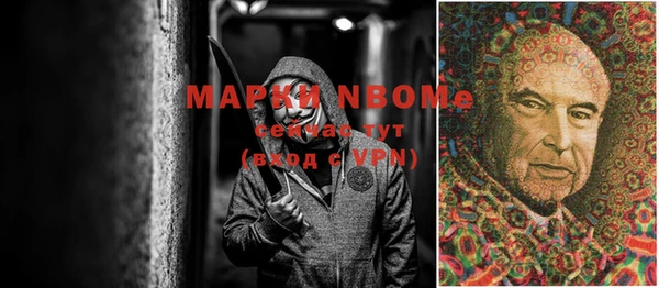 стафф Сясьстрой