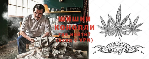 соль ск Верхний Тагил