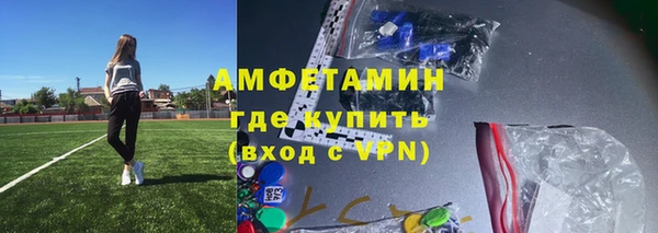 крисы Бородино