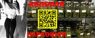 мет Гай