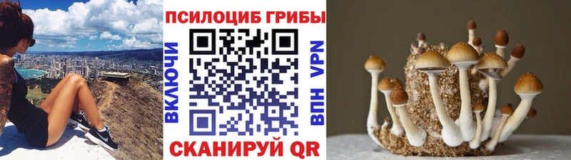 Галлюциногенные грибы Psilocybe Рузаевка